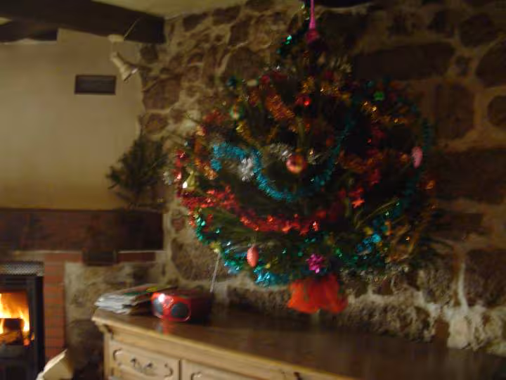 Sapin de noel 2010