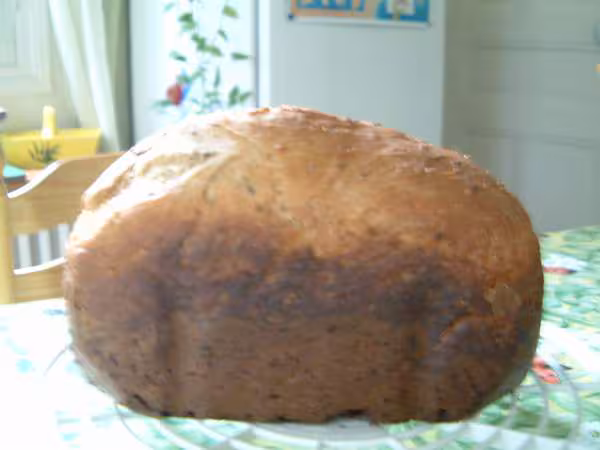 Pain aux cereales et au son d avoine