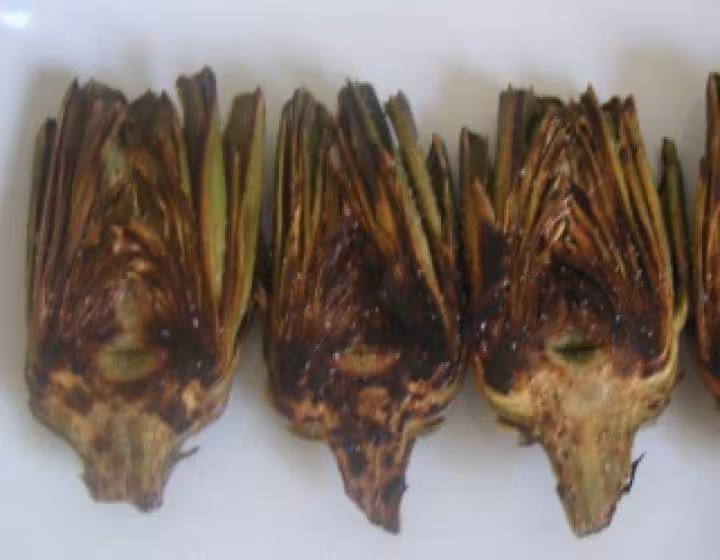 Artichauts grillees