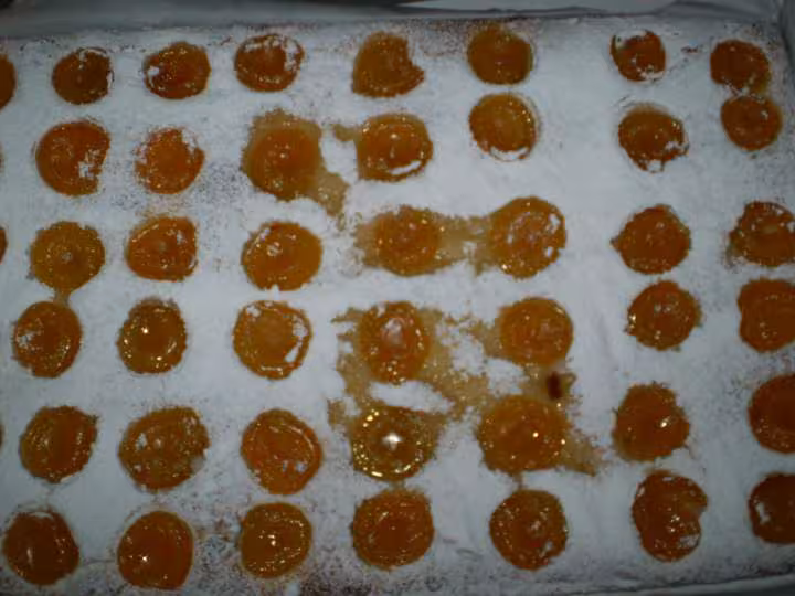 Coca aux abricots