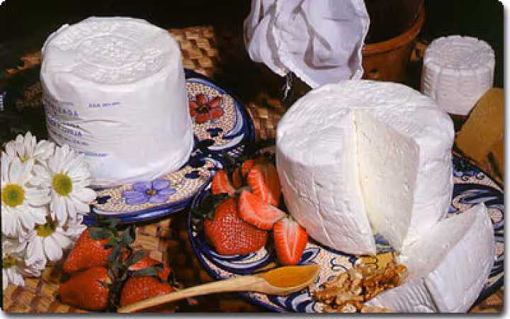 Queso de burgos
