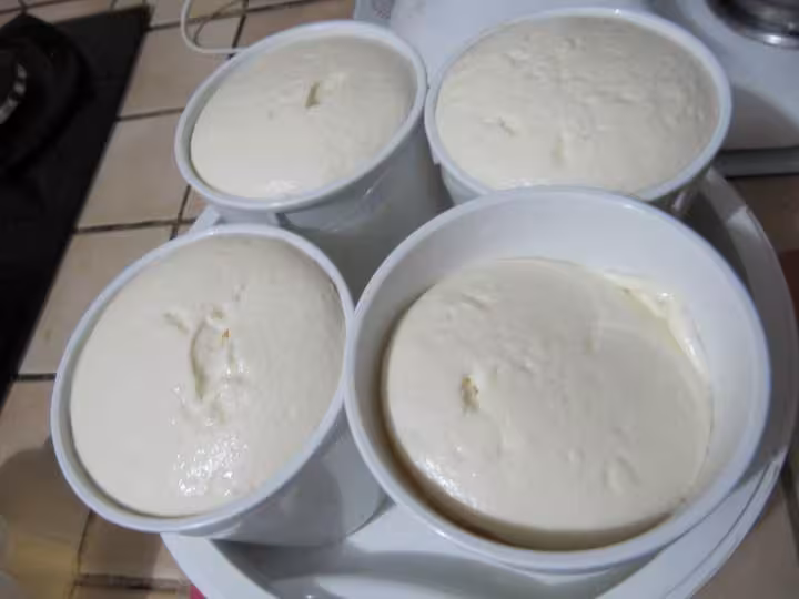 Fromage au bout de 12h