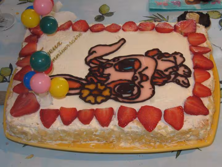 Gateau pet shop
