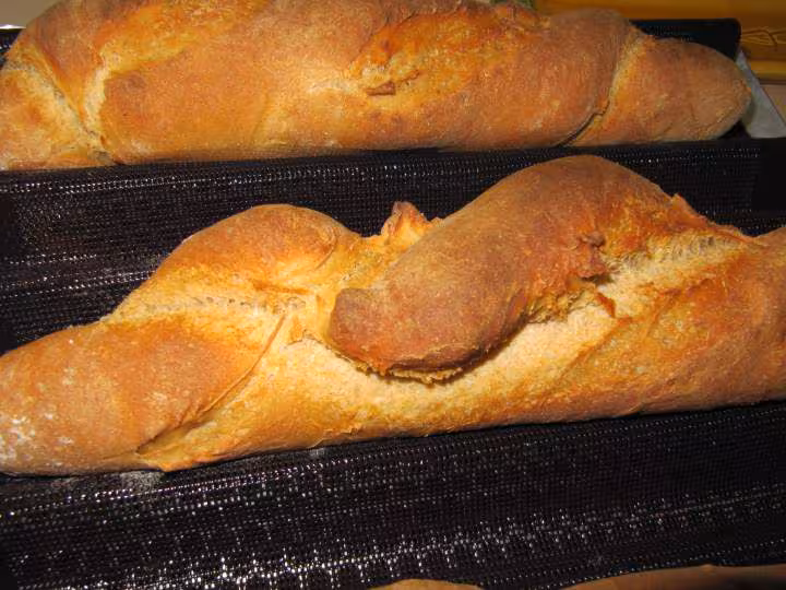 Grignes en progres
