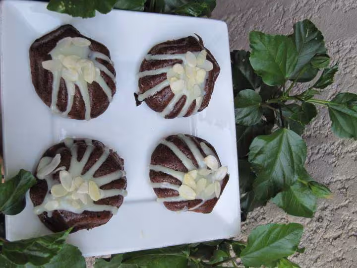 Moelleux coquillages