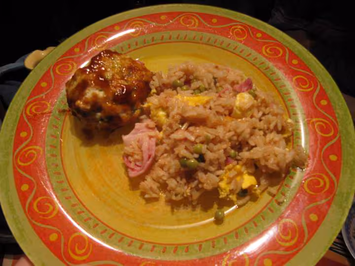 Riz cantonnais et boulette japonaise au poulet