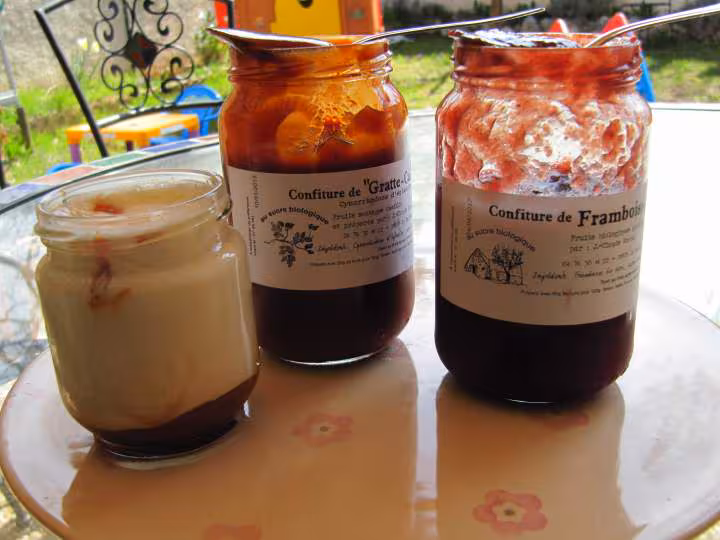 Yaourt a la confiture de cynorrhodons d eglantier et framboise