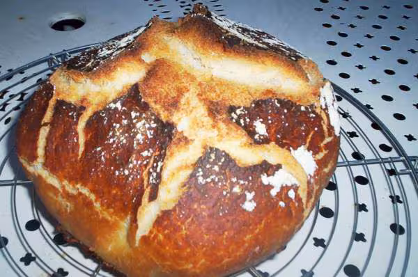 Miche de campagne d animo