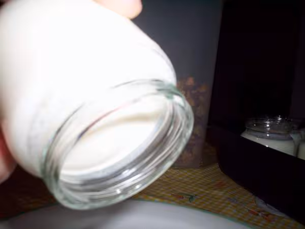 Yaourt au bout de 12h et qui va aller au frigo