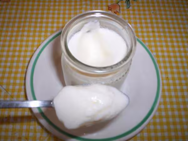 Yaourt au tm31 avec du lait concentre sucre