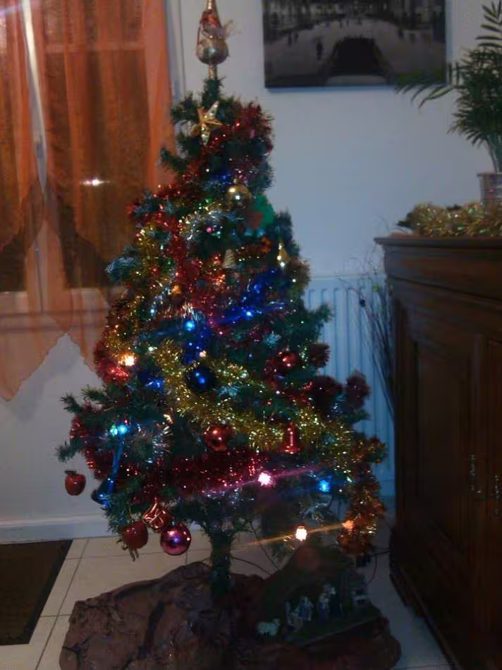 Noel 2012