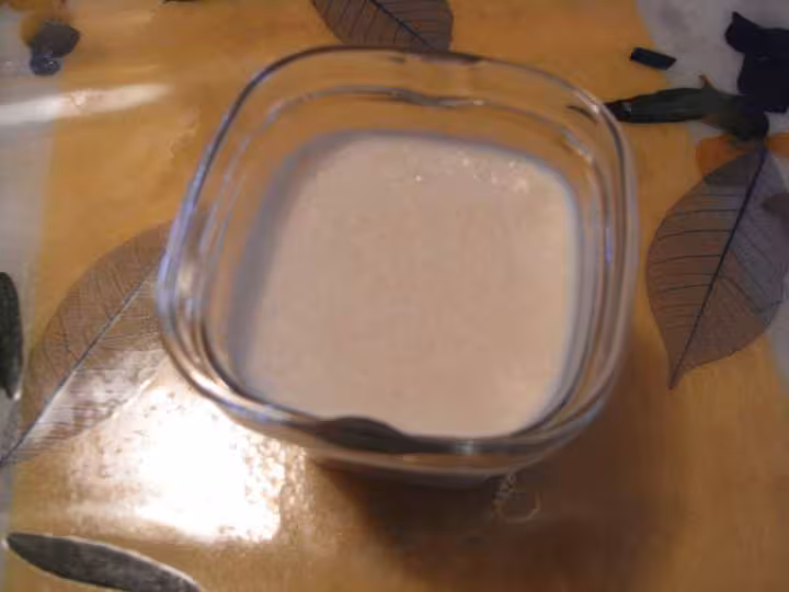 Yaourt au lait de soja et noix de coco md