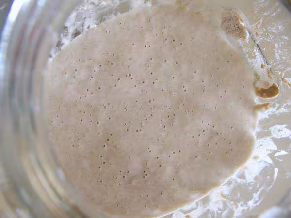 Apparence de mon levain