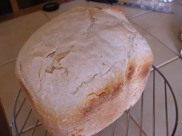 Le pain fait avec le levain tamagoshi