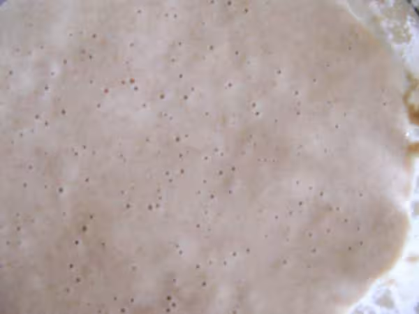 Levain pour mon pain journalier
