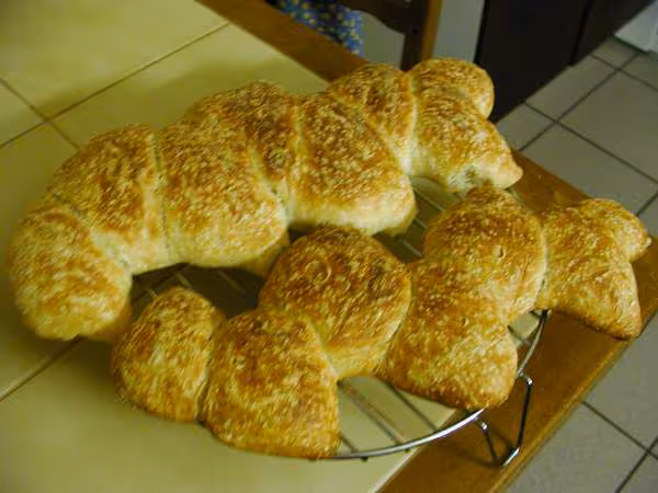Levain tradi kefir d eau