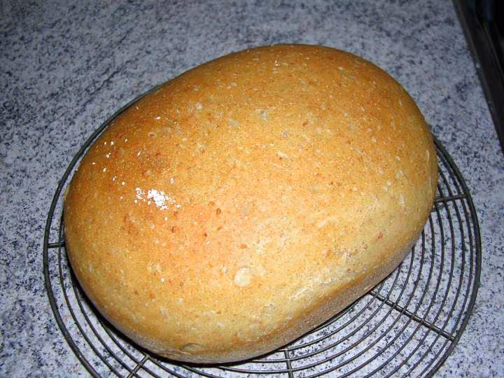 Epeautre en cocotte