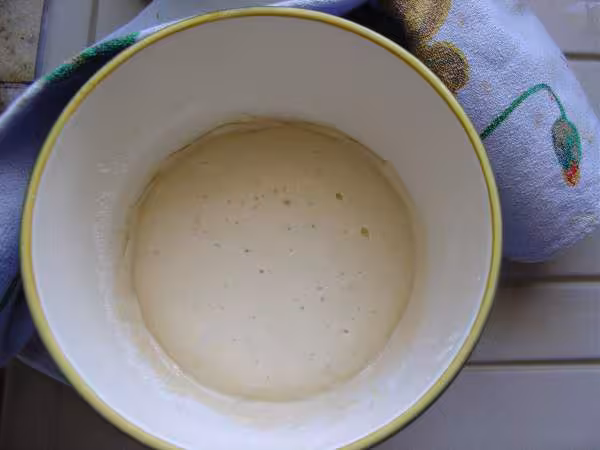 Levain