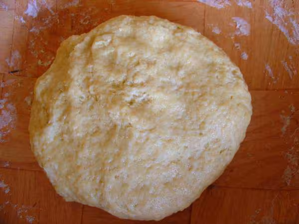 Paton1