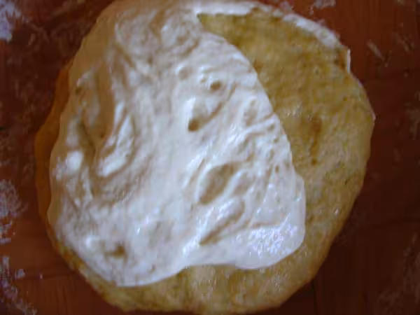 Paton2