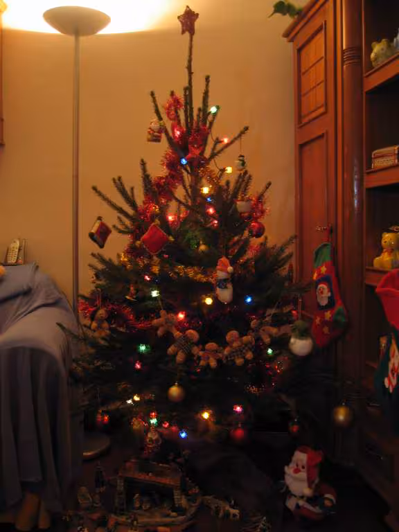 Sapin noel 2005