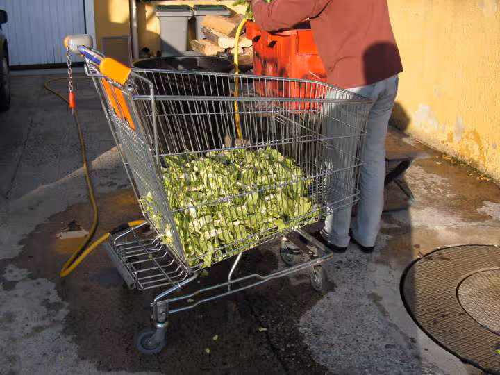 L essoreuse a salade