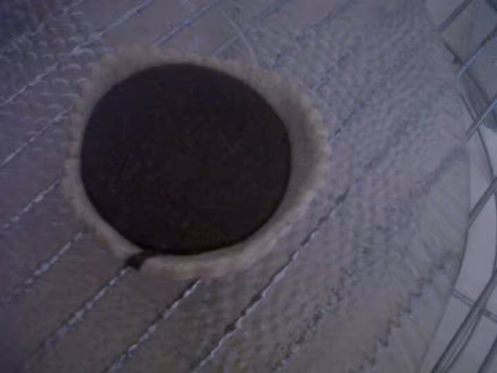 Tartelette chocolat noisette