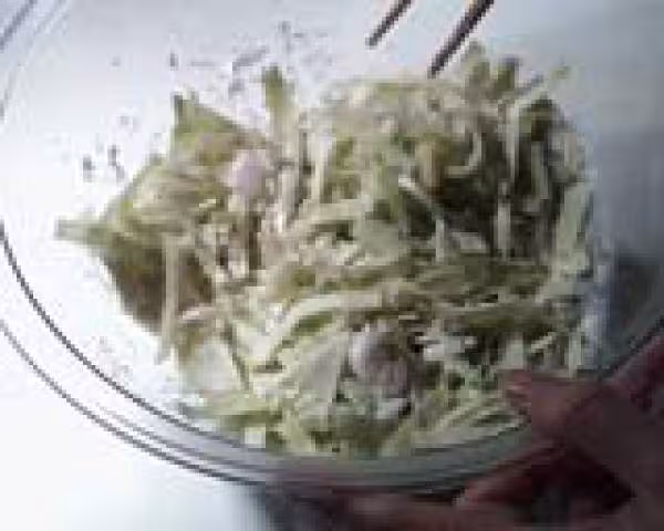 Okonomi 04
