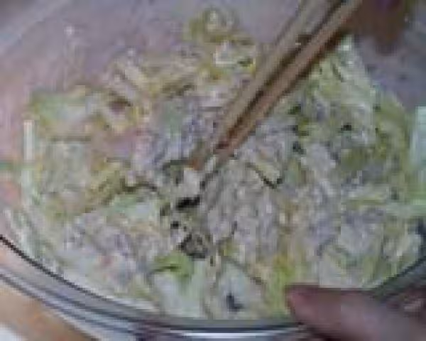 Okonomi 05