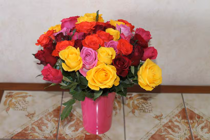 Fleurs