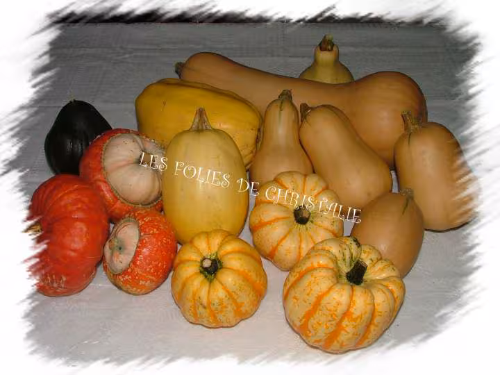 Legumes d hiver