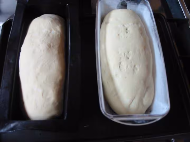 Avant la cuisson