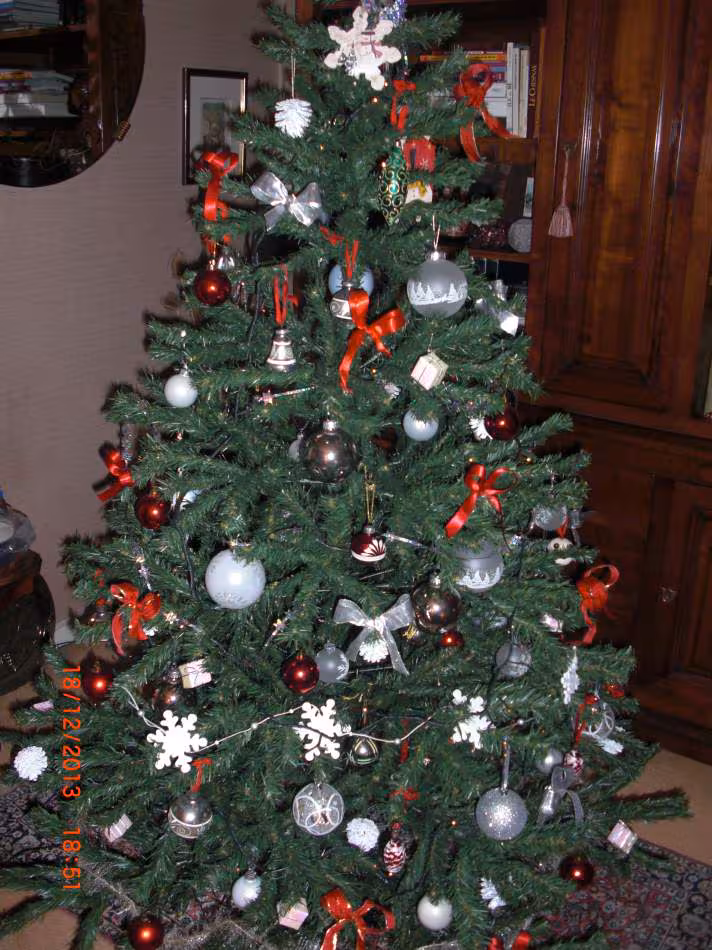 Sapin