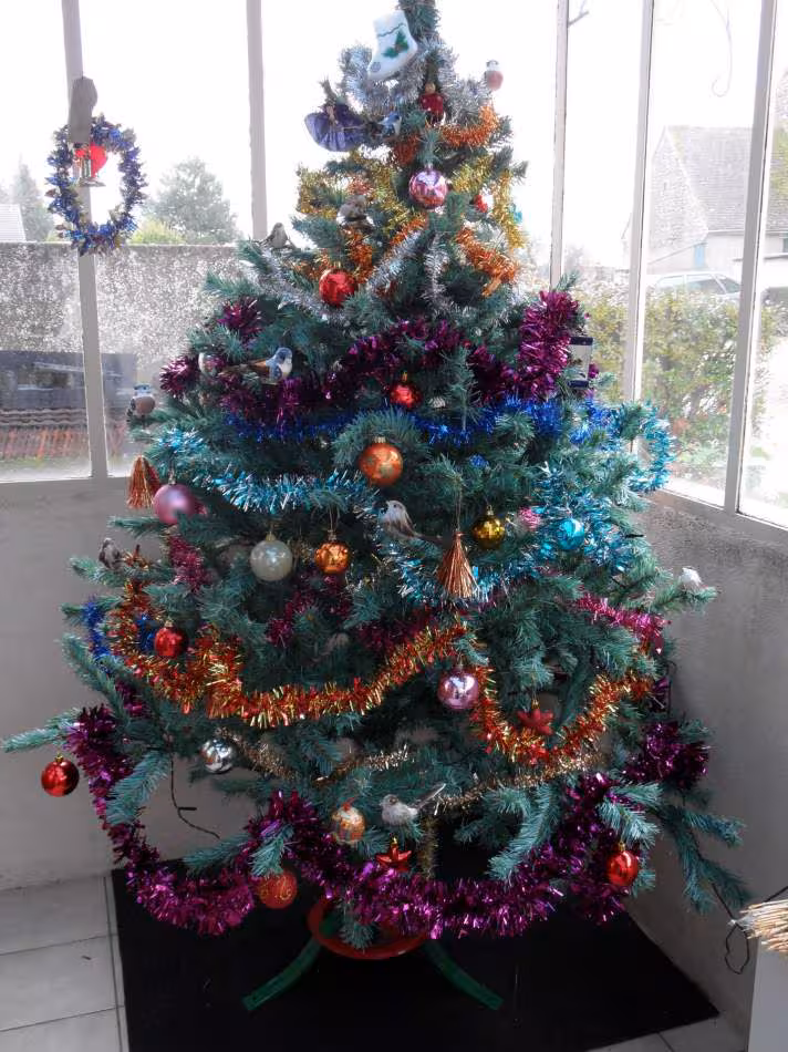 Mon petit sapin