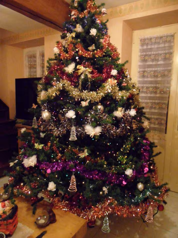 Sapin 2012