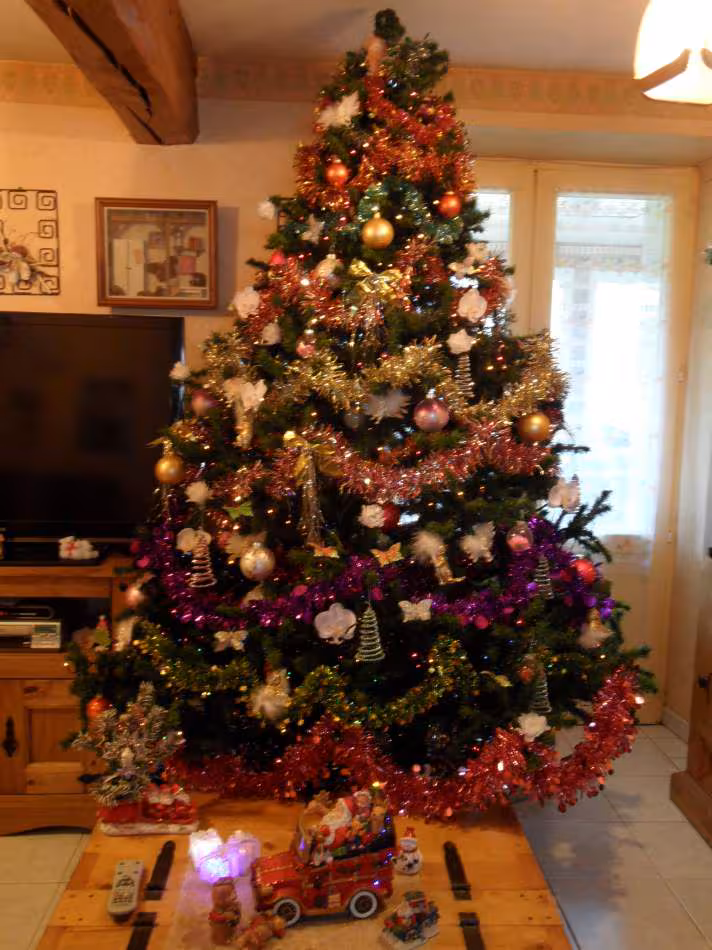 Sapin 2013
