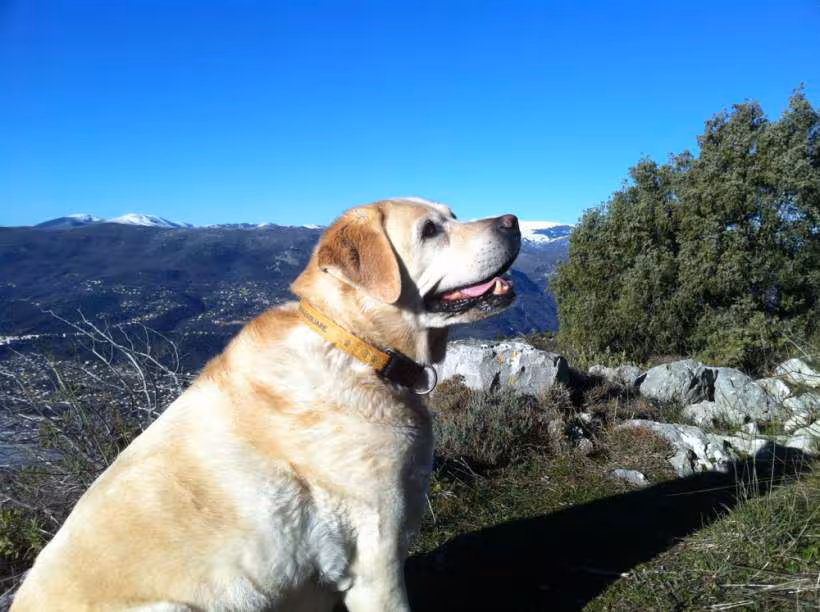 Ballade mont cima