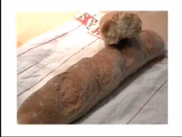 Baguette farine d epeautre