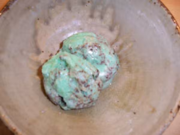 Glace menthe chocolat