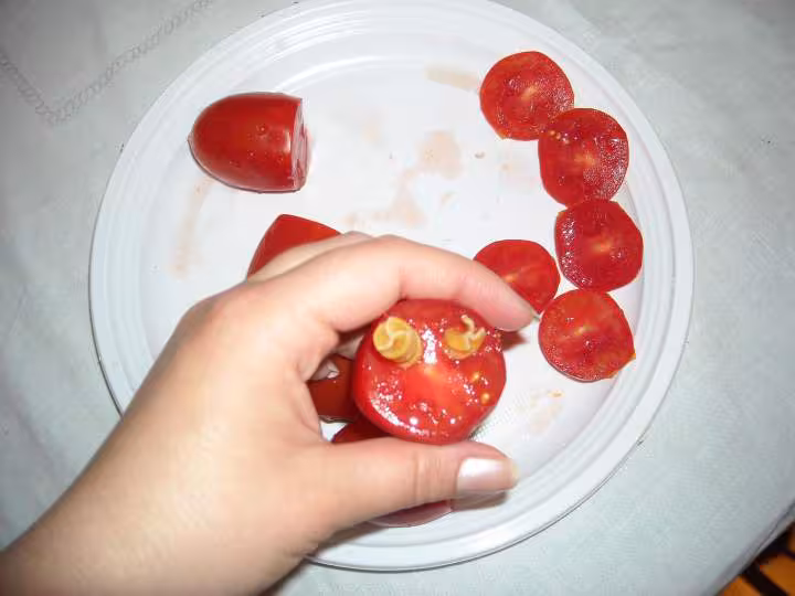 Insertion des fusilli dans le tomate