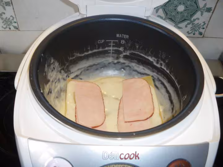 Lasagne au jambon
