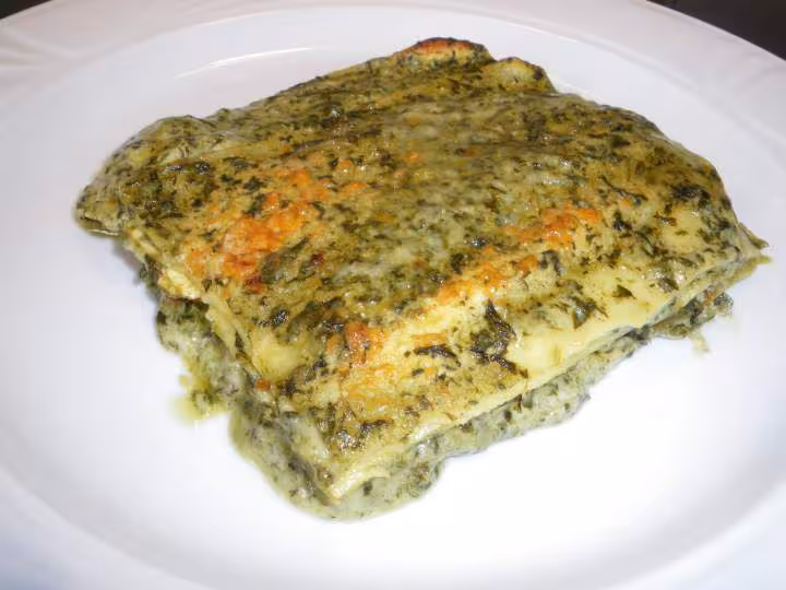 Lasagne aus epinards