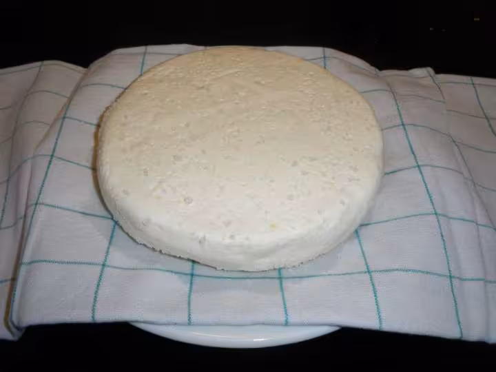 Salage fromage