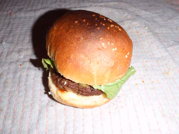 Hamburger