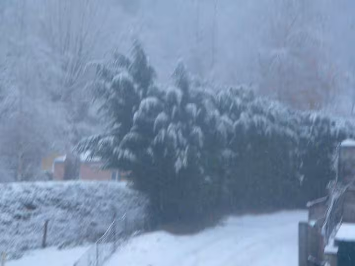 30 janvier 2011