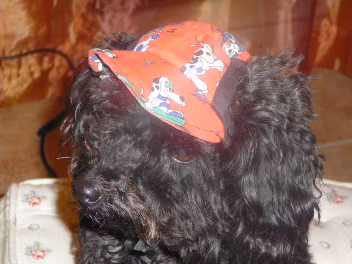Ma cachou
