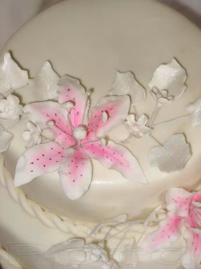 Gateau mariage2