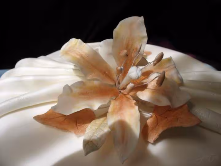 Lily pate de sucre