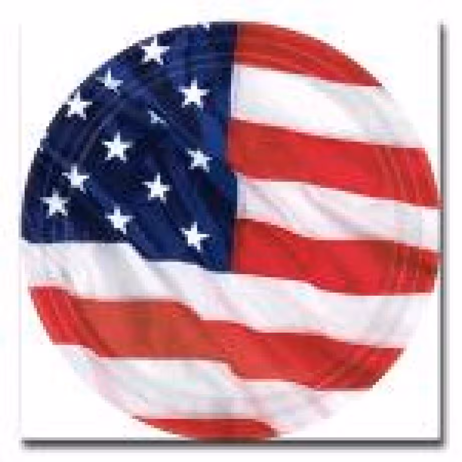 Assiettes carton decor drapeau us