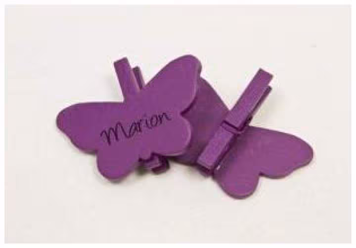 Marque place a pince theme papillons